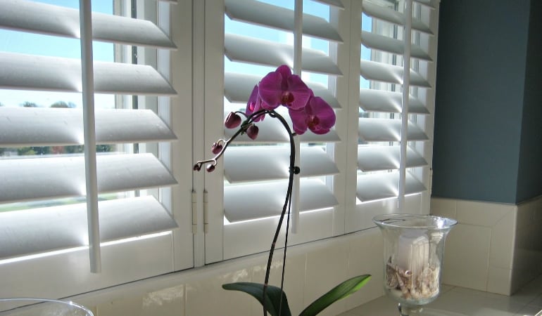 Polywood® shutters in a window.